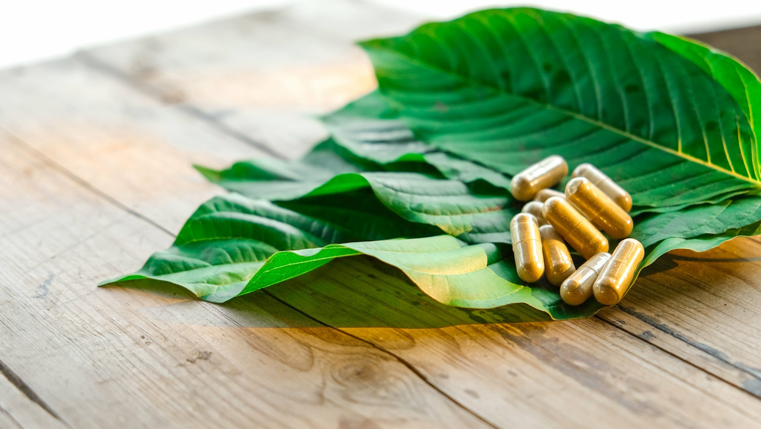 kratom powder capsules and leaves