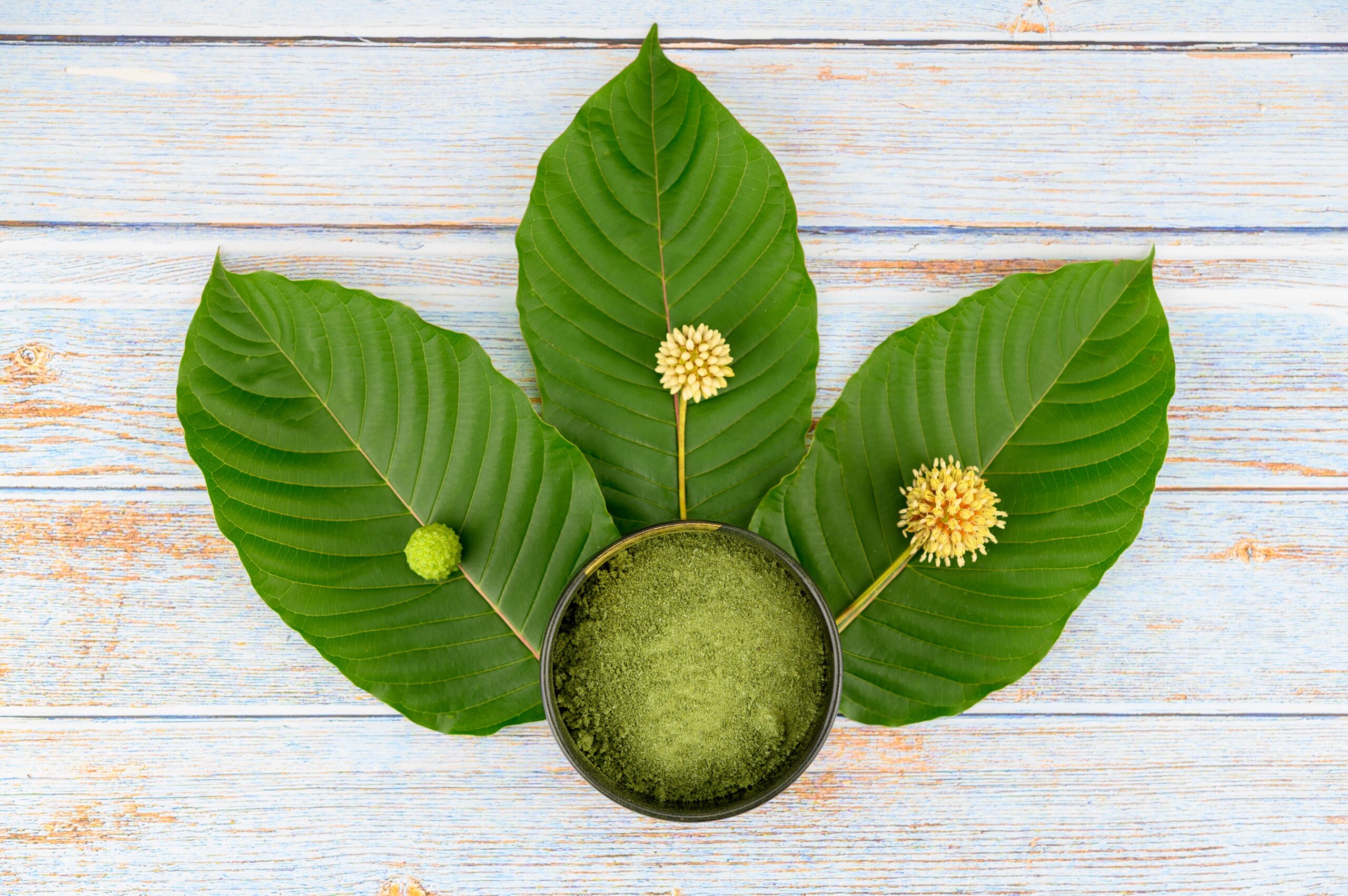 maeng da kratom leaves flowers