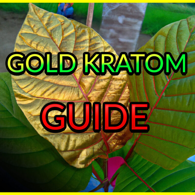 Gold Kratom Guide: Benefits, Strains and Dosages