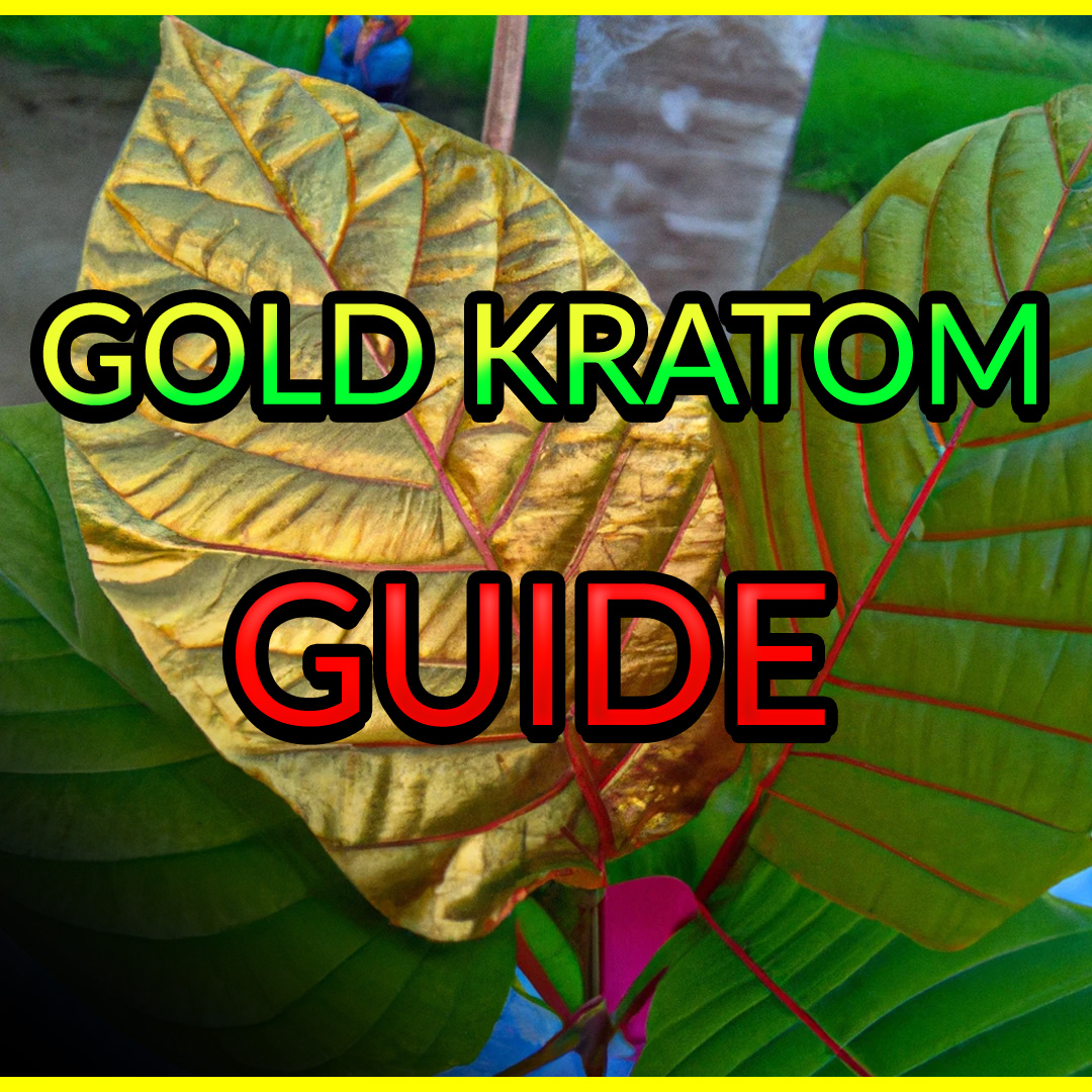 gold kratom guide cradum leaf maeng da malay borneo sumatra kratom powder