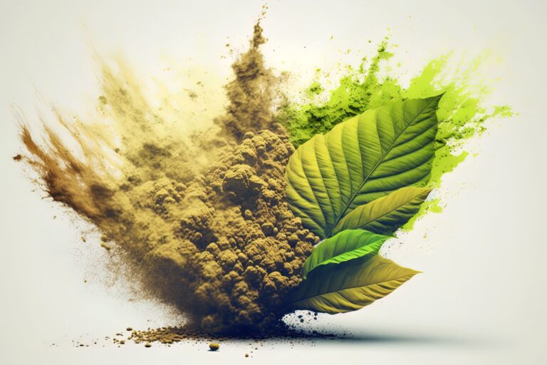 Kratom Vs CBD: What is Right For You?